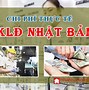 Cty Xkld Tâm Nhật Bản 2024 Lương Thế Vinh Nhận Bao Nhiêu Tiền