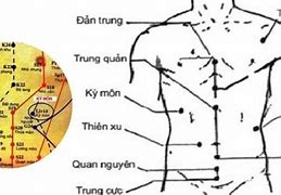 Đông Y Bấm Huyệt Y Học Cổ Phương