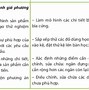 Tạo Với Kỹ Thuật Lqa9Uzggqb4 1